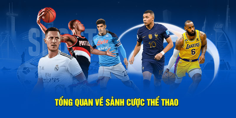 Tổng quan về sảnh cược thể thao